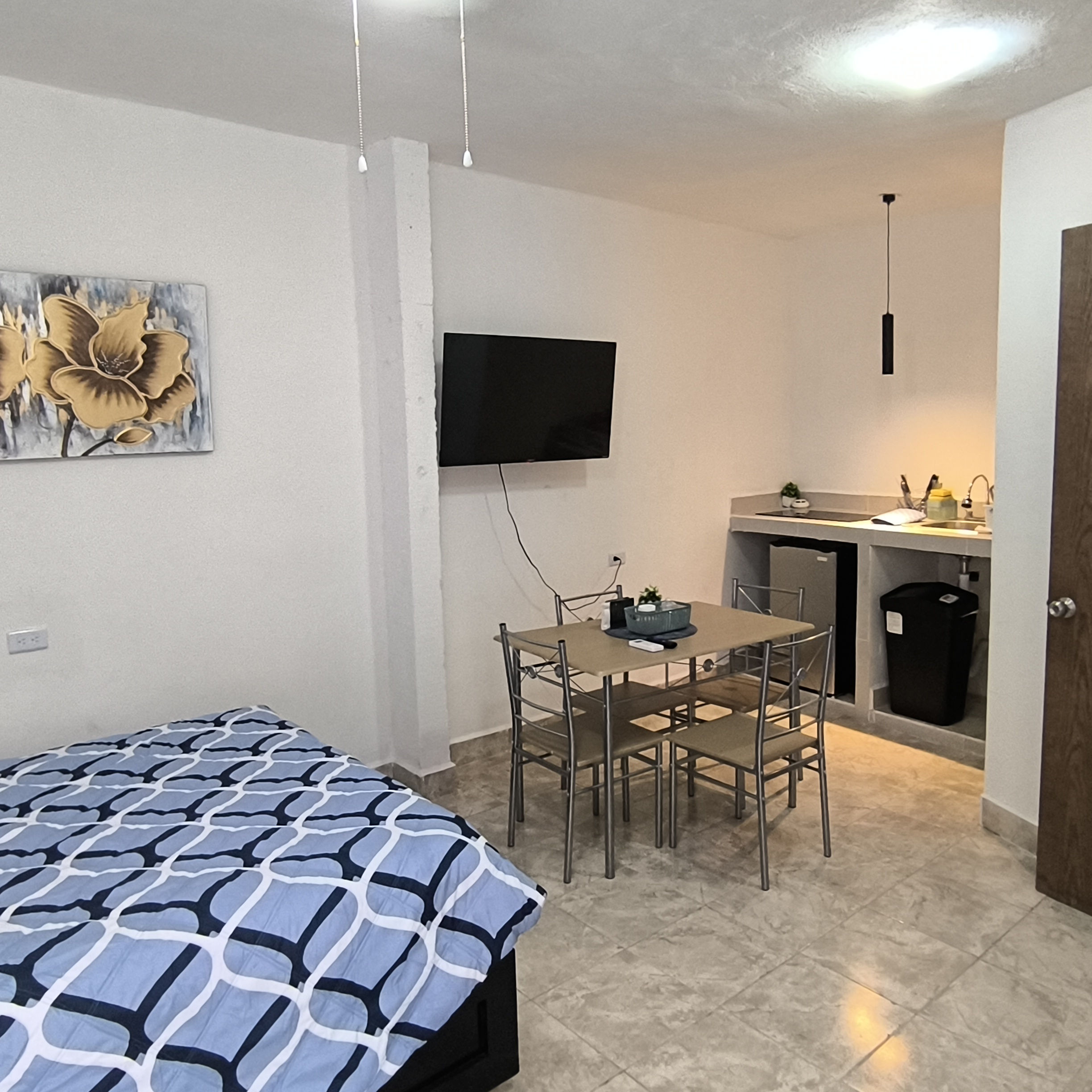 El Loft donde se ve la cama, el cuadro, la tele, el comedor, la cocineta y el frogobar