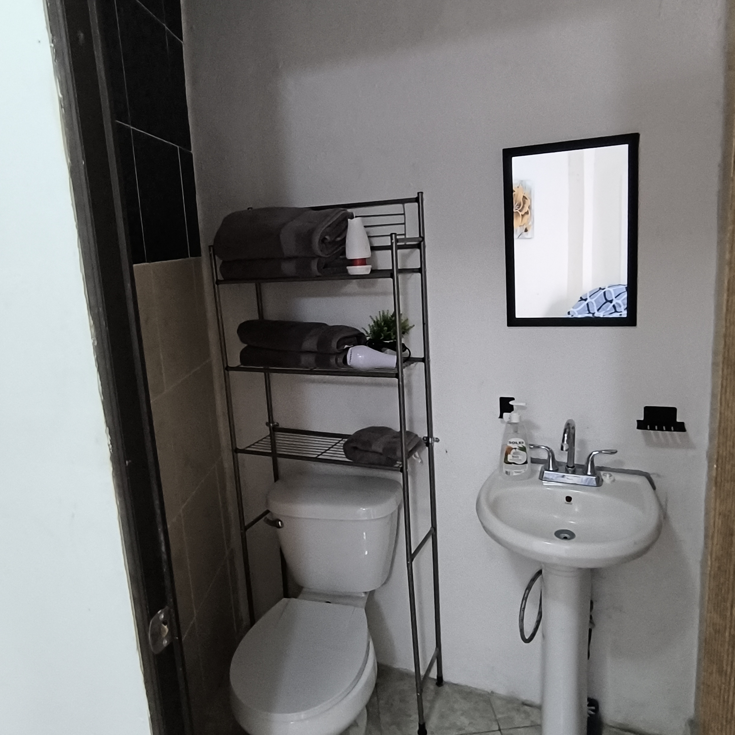 El Loft donde se ve la tasa, el lavabo, el espejo y el estante del baño