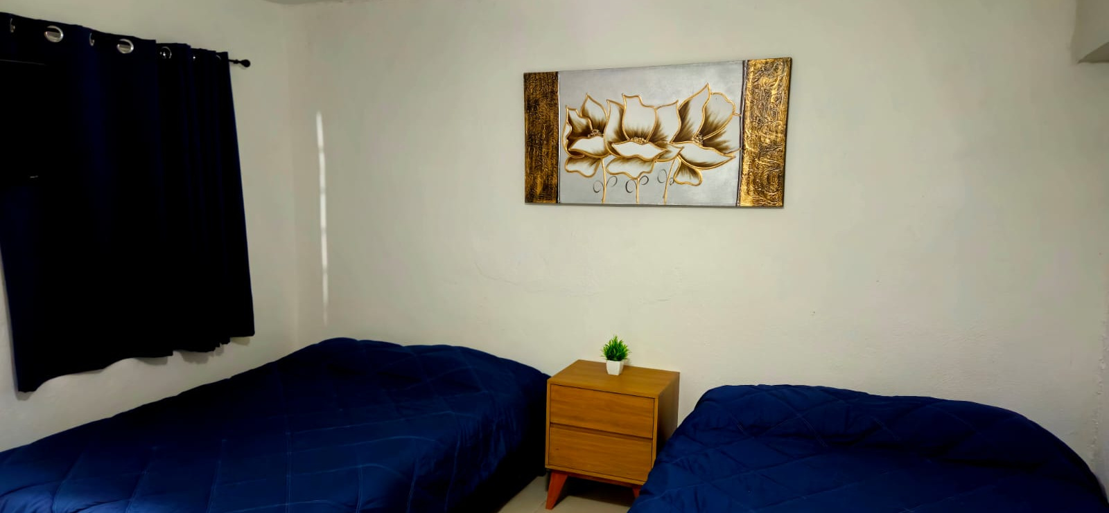 El Loft donde se ve el cuadro, cortina y las camas