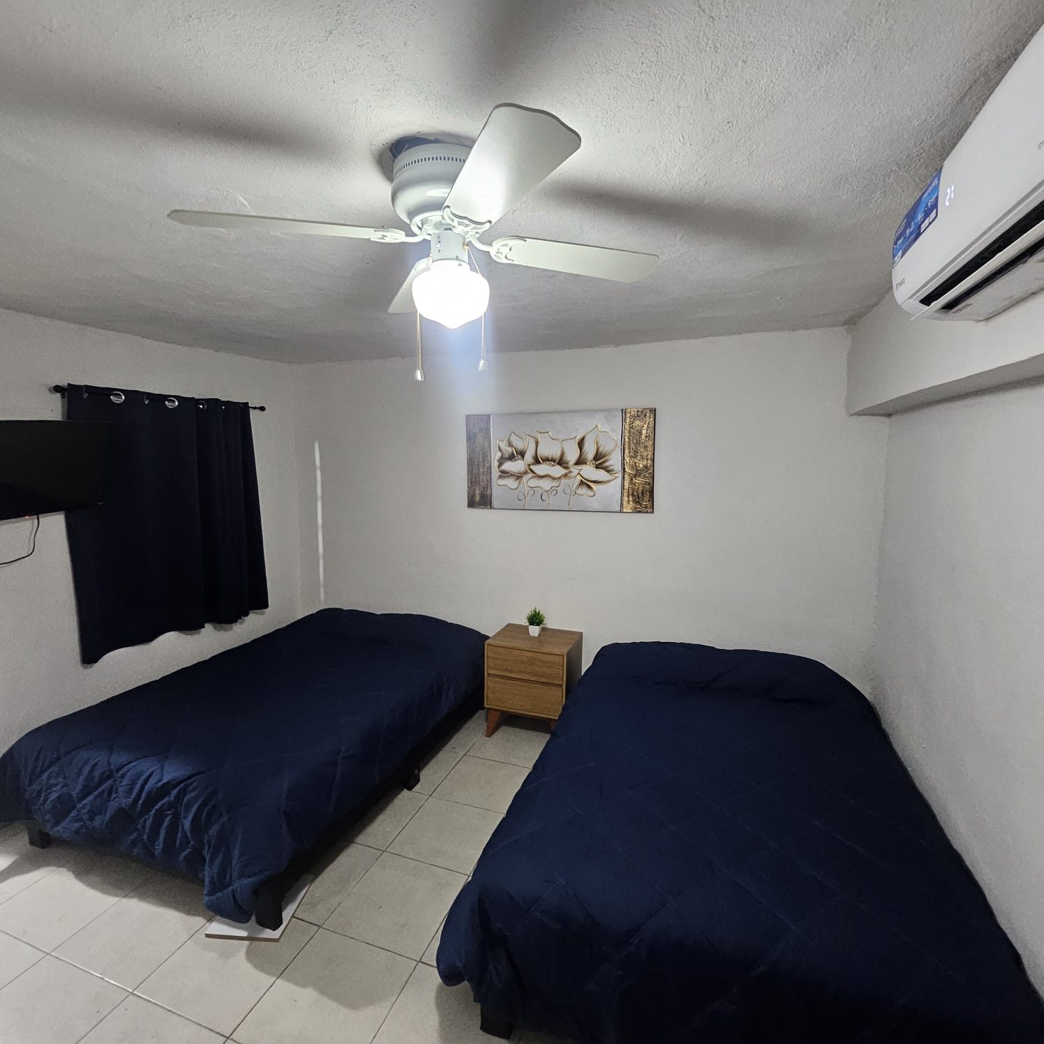El Loft donde se ve la tele, la cortina, las camas, el cuadro, el ventilador y el aire acondicionado